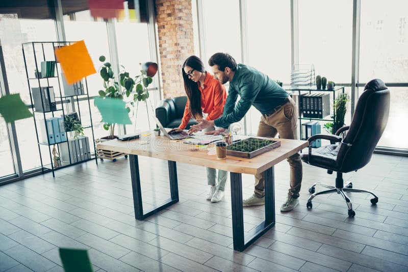 Equipe IMEDIATA trabalhando